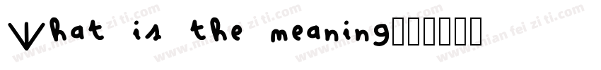 What is the meaning字体转换